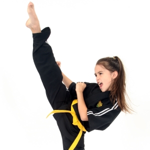 Martial Arts Classes