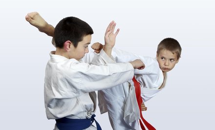 Martial Arts Classes