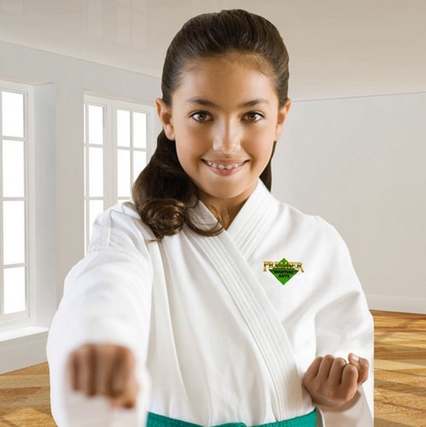 Martial Arts Classes