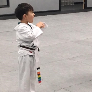 Martial Arts Classes