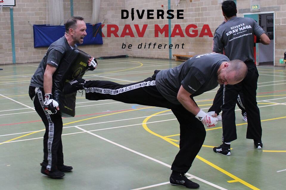 Martial Arts Classes