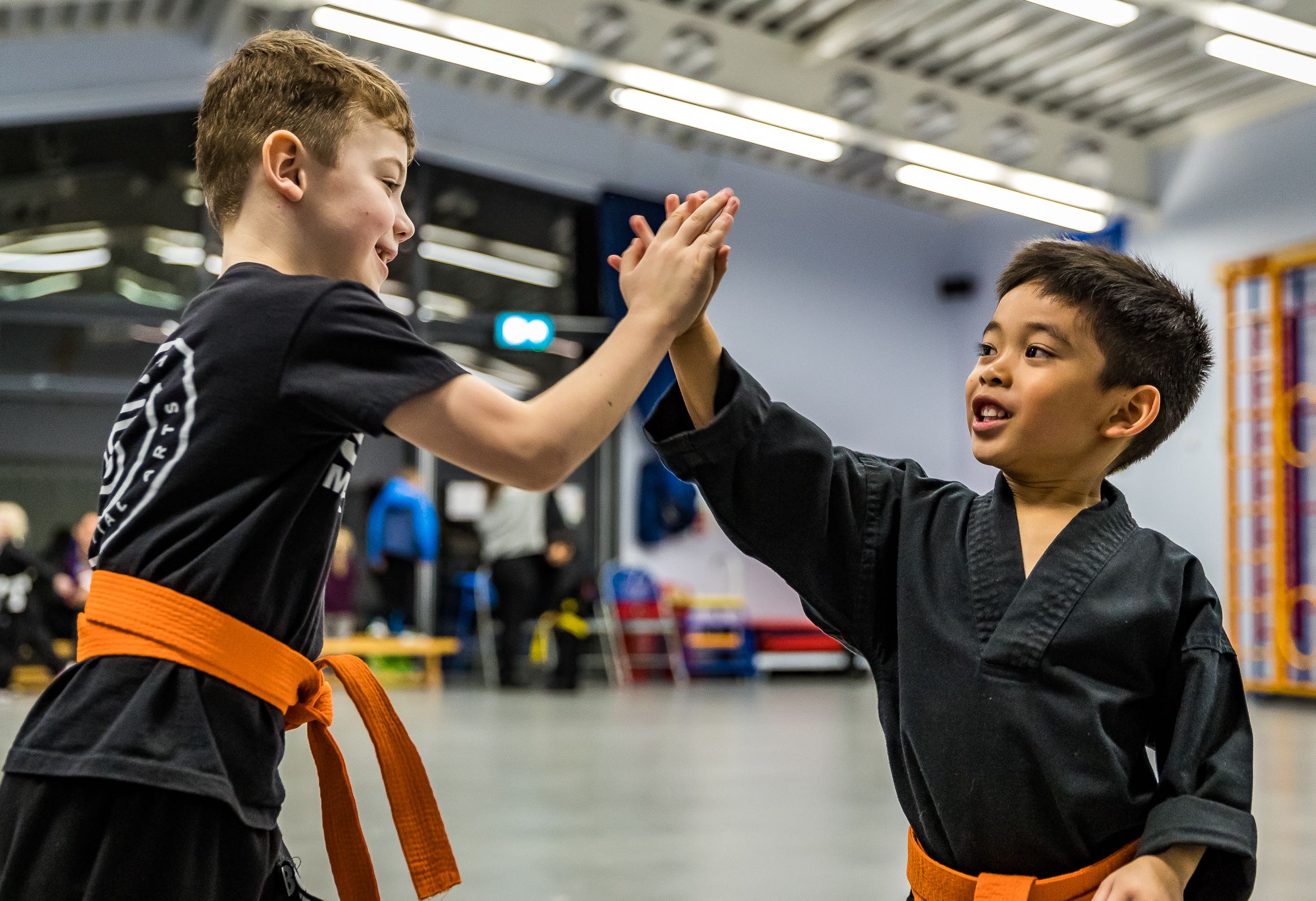 Martial Arts Classes